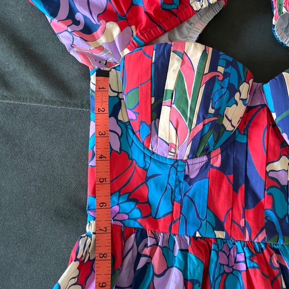 NWT Tuckernuck Climbing Cosmos Valerie dress 8 - Picture 14 of 16